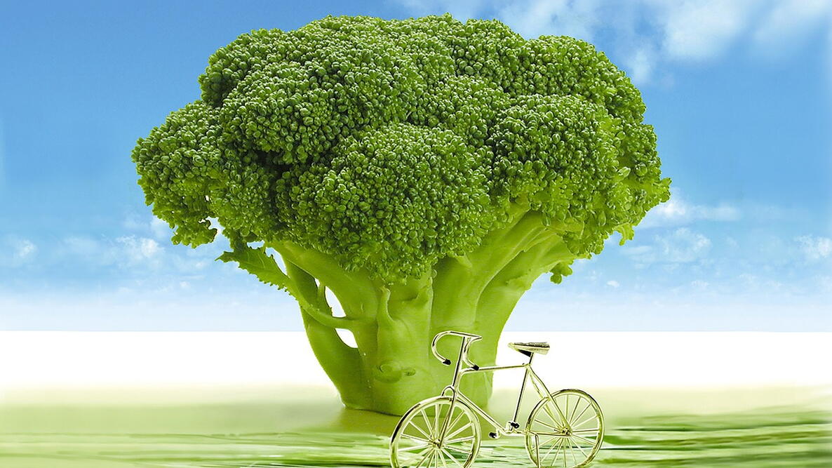Whimsical image showing a broccoli head as a tree 