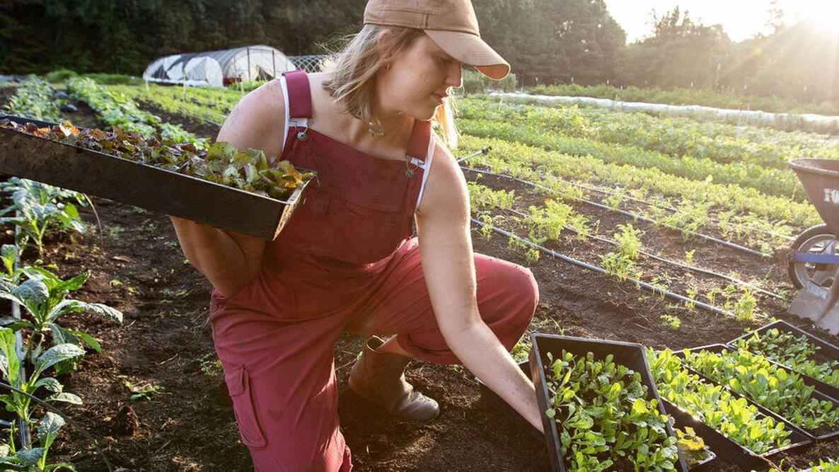 overalls in garden