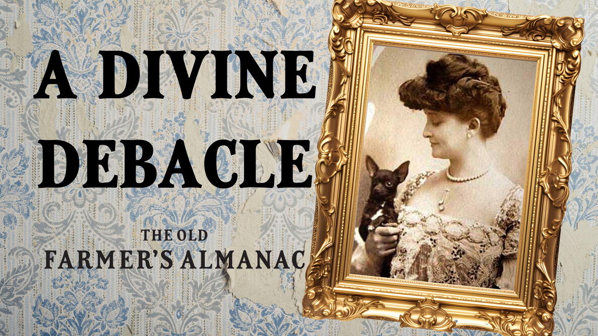 Woman and a black Chihuahua in a gold antique frame