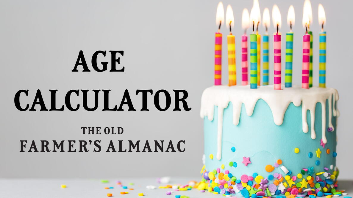 Age Calculator Feature Image