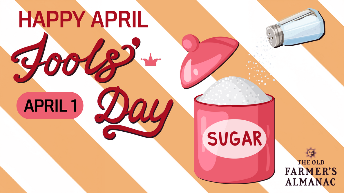 April Fools Day, Salt in the Sugar