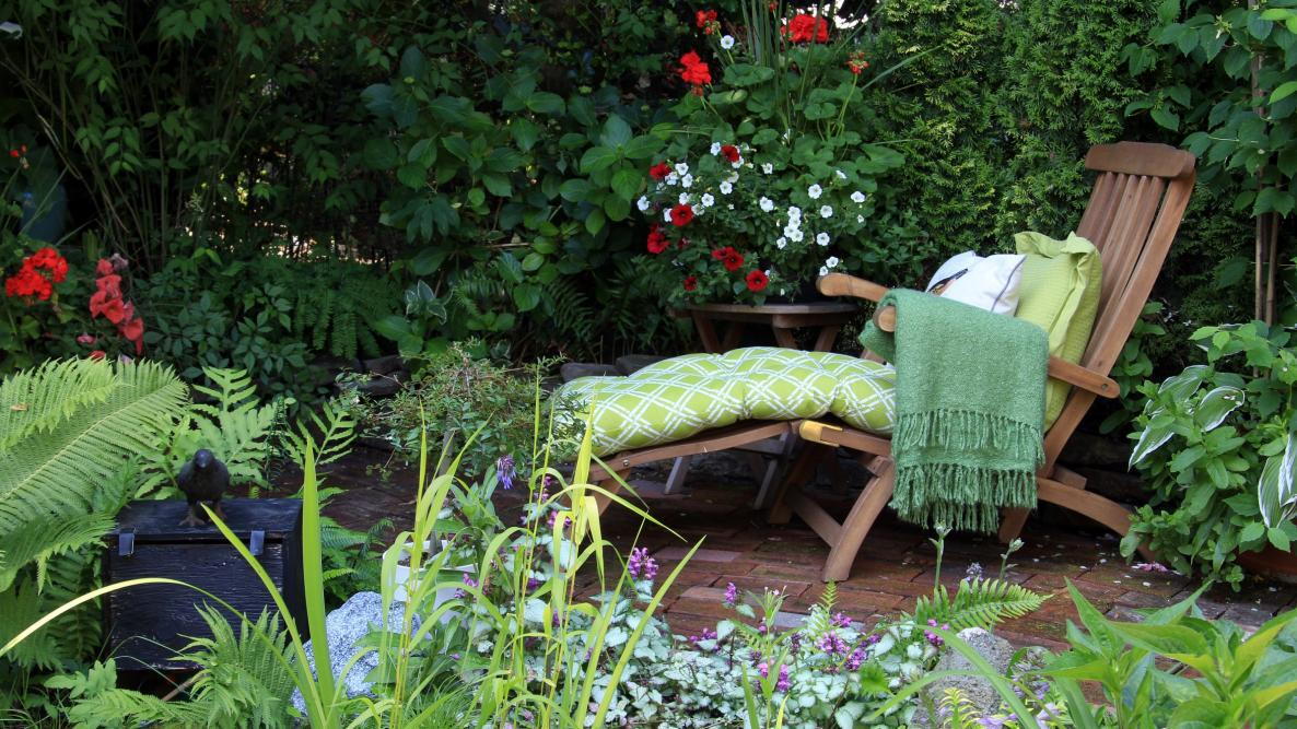 Backyard Retreat 