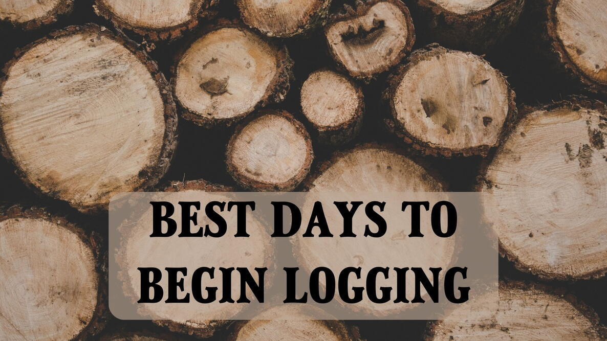 best days to begin logging