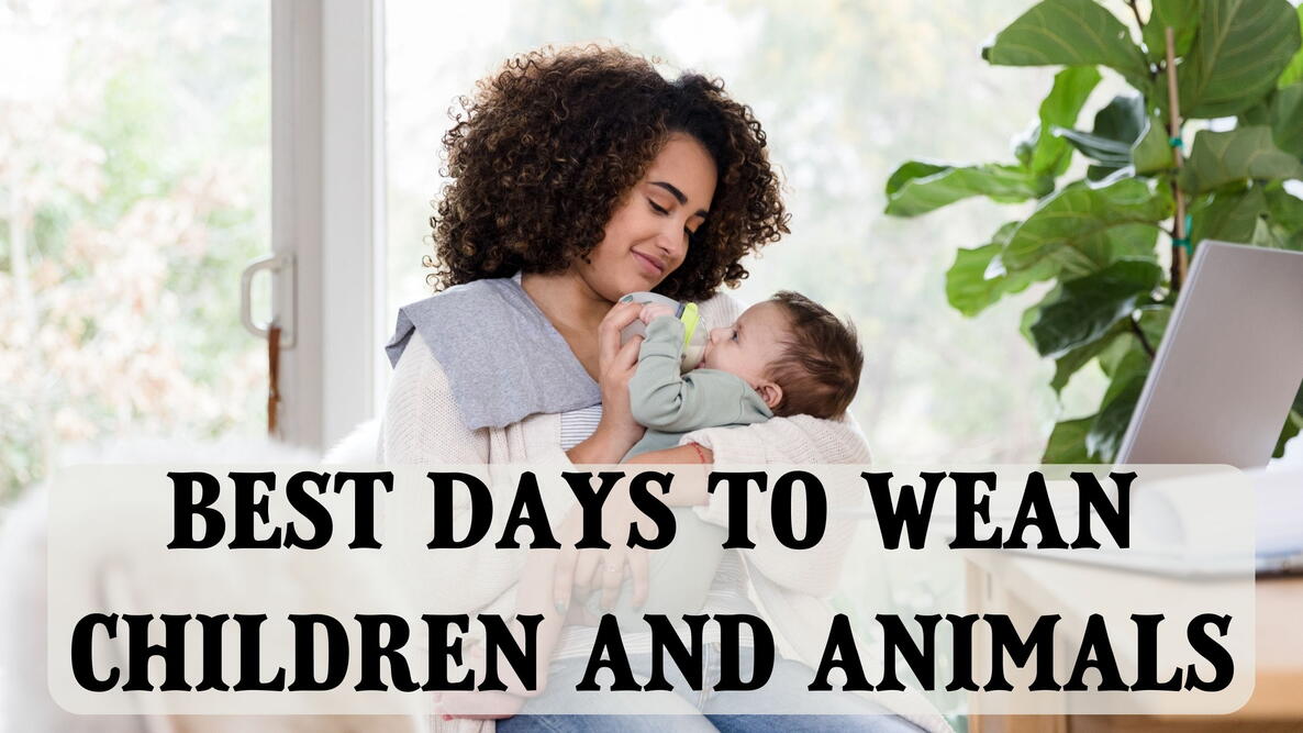 best days to wean children and animals, woman feeding a baby a bottle