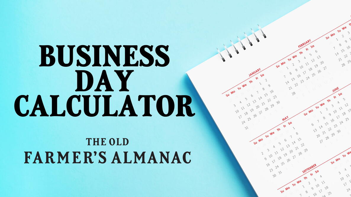 Business Day Calculator: Count Work Days Between Two Dates