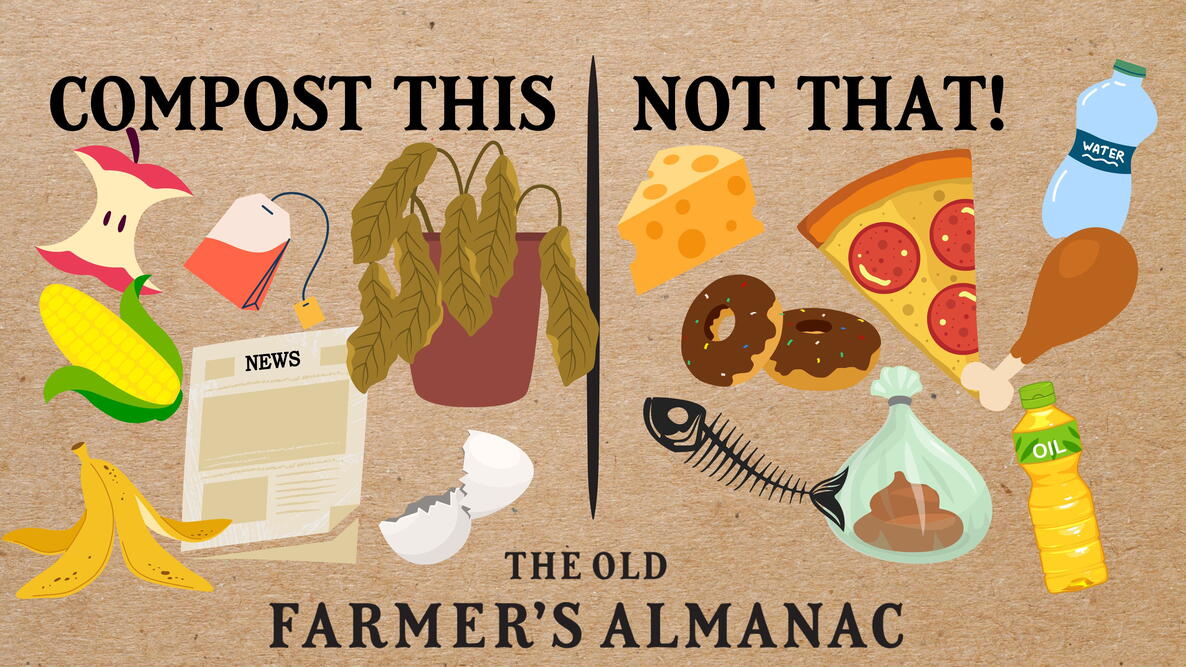 What Can Be Composted, eggs, apples, dead houseplants, corn, newspaper, bananas and tea bags. What can't be composted, cheese, donuts, fish bones, pizza, poop bag, water bottle, chicken bone, and oil