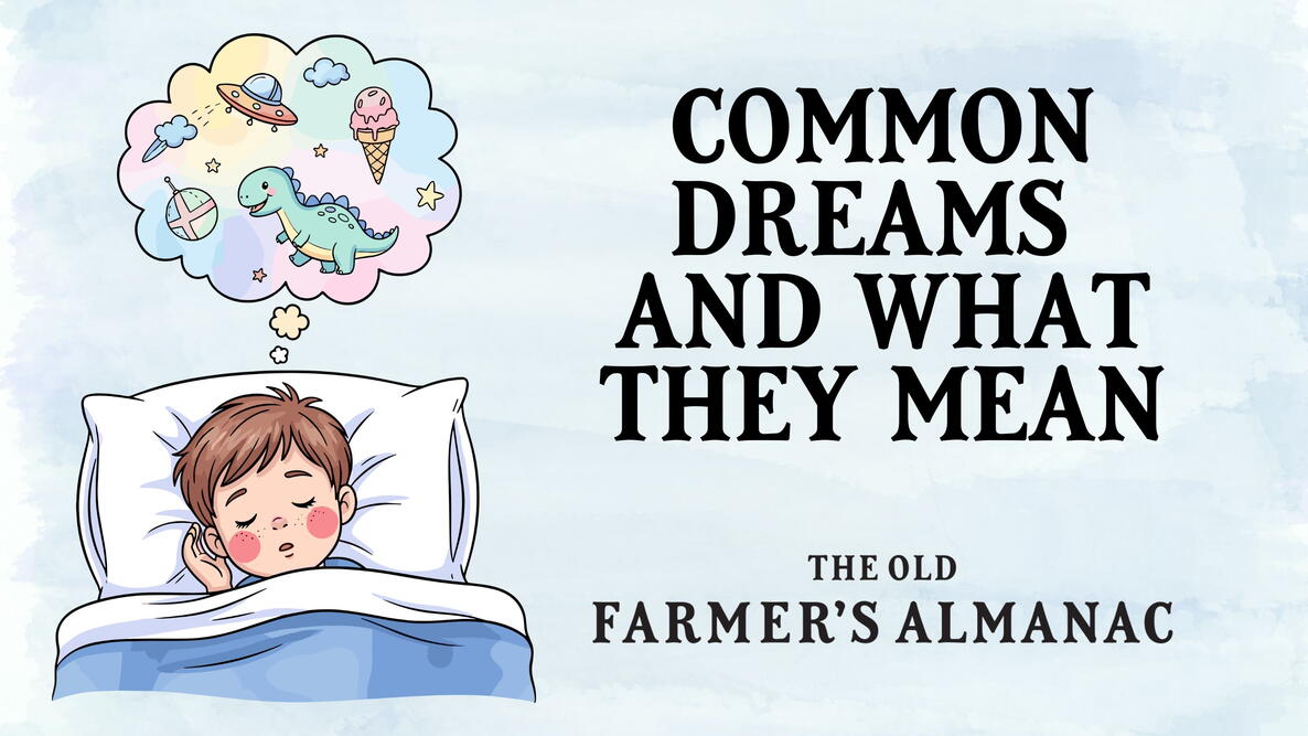 Common Dreams and What They Mean, illustration of boy dreaming in bed