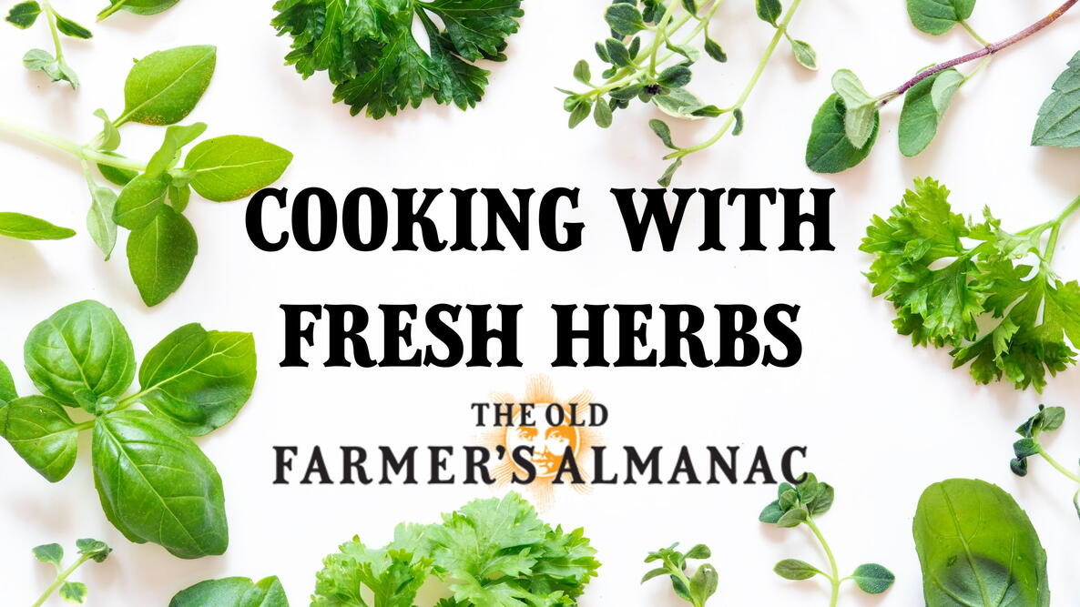 Cooking with Fresh Herbs, Herb recipes are a great way to use what you’ve got growing in your herb garden!