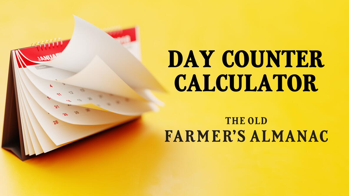 Quickly Count Days Between Dates