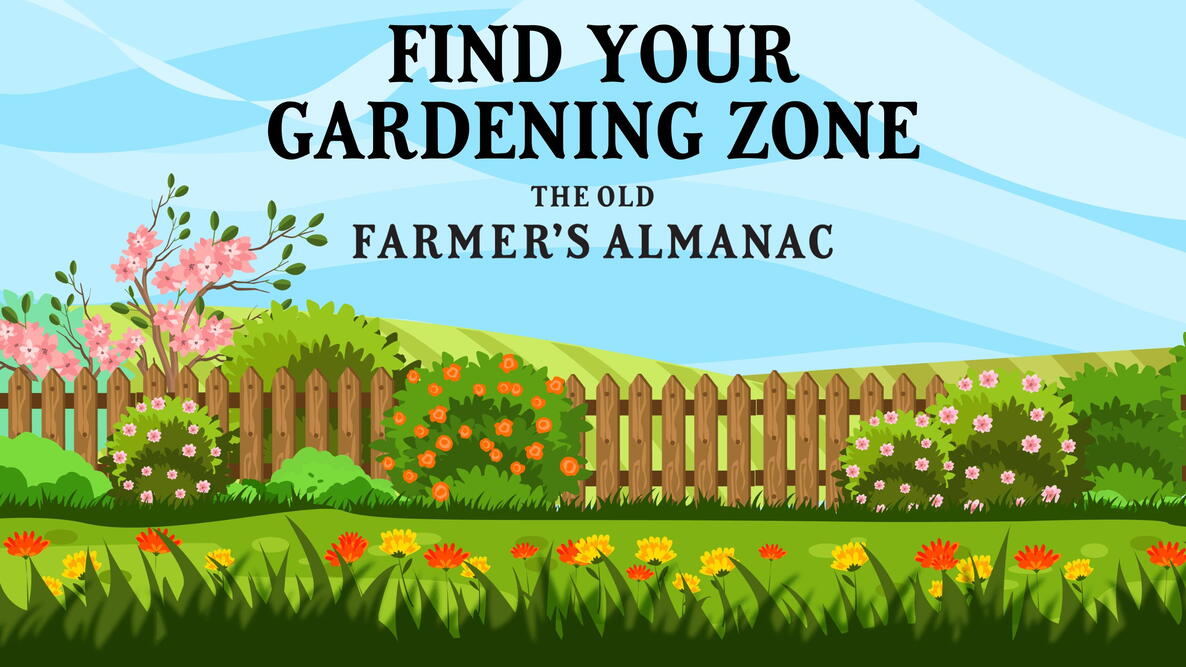 garden landscape with picket fence and perennial flowers and trees