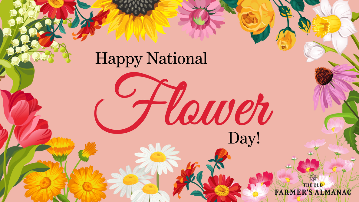 happy national flower day from the Old Farmer's Almanac