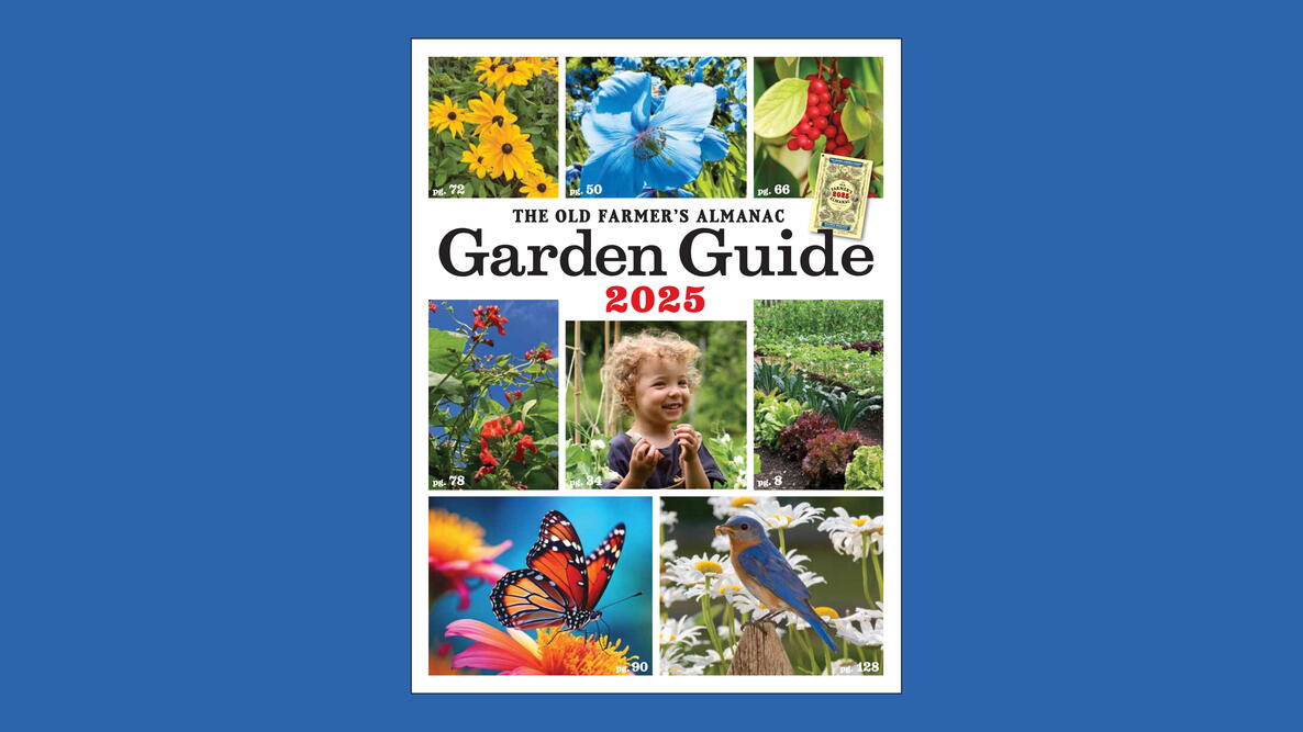 2025 Garden Guide cover on a blue background
