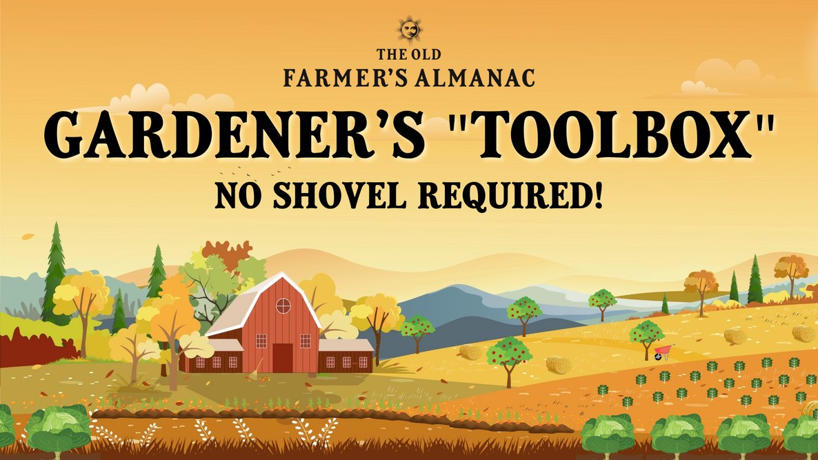 Garden Toolbox for Fall and Winter