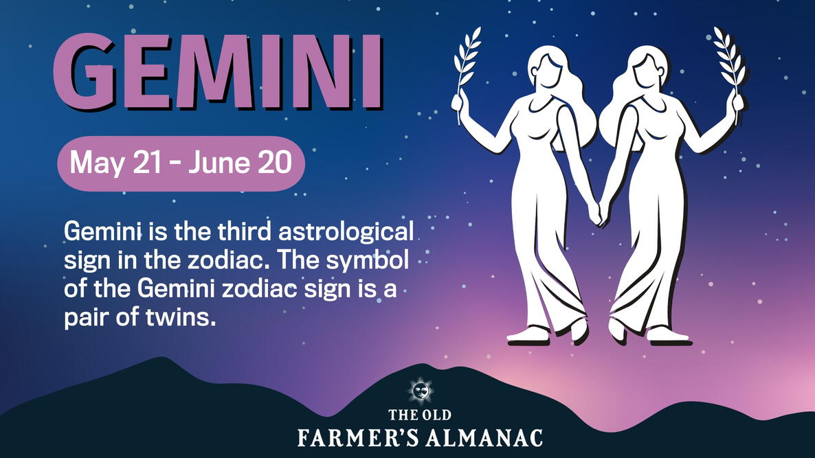 Gemini Zodiac Sign