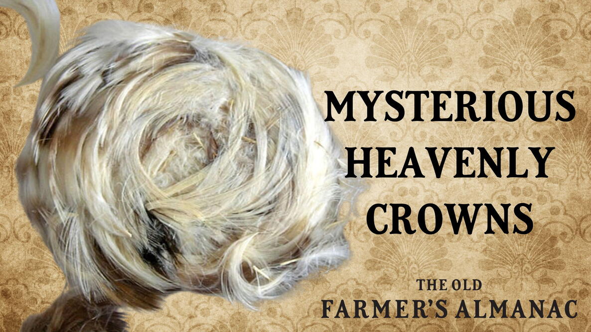 feather crown, heavenly crown, angel wreath