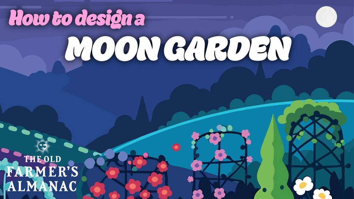 how to design a moon garden with an illustration of the full moon over a moon garden