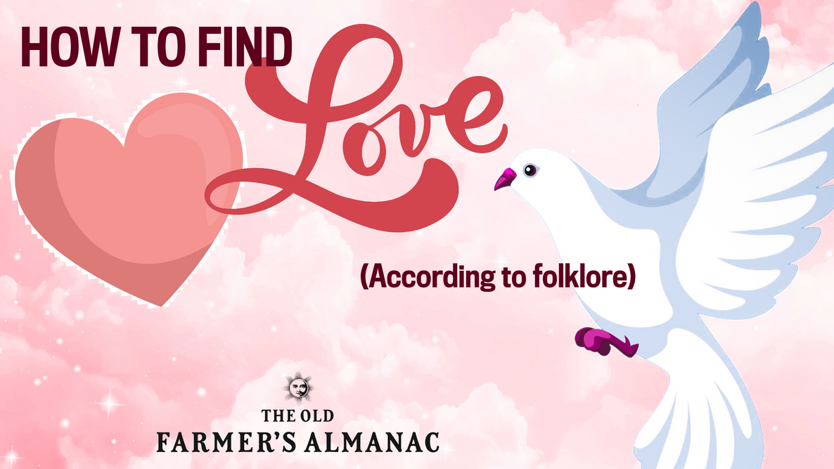 how to find love, according to folklore with a dove and a heart