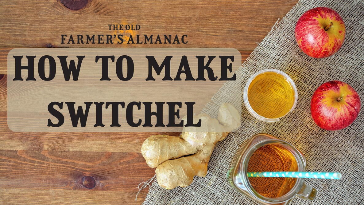 how to make switchel,  Homemade energy drink switchel in a mason jar. top view apples and ginger and sweetener