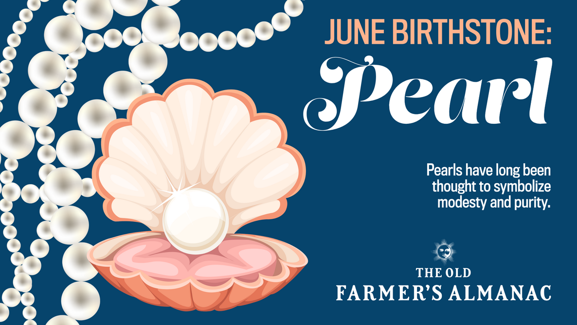 June Birthstone, the Pearl in an oyster shell