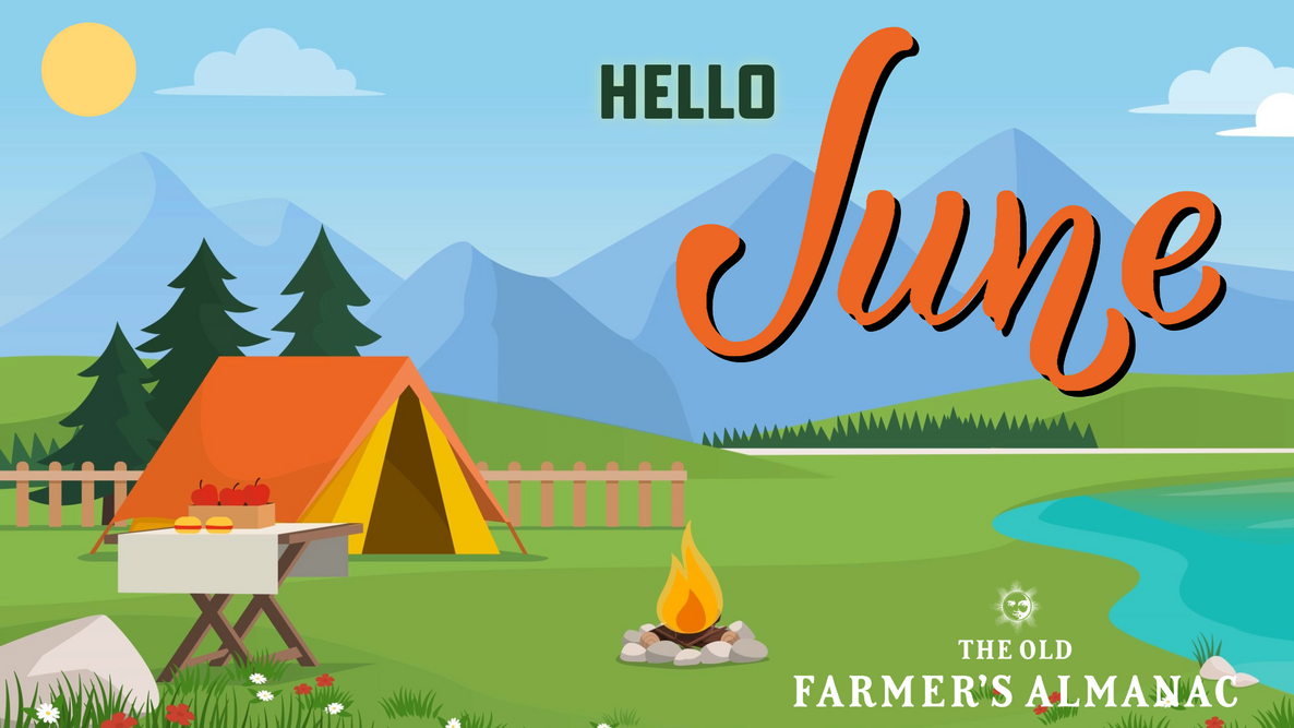 Hello June, Tent on Lake