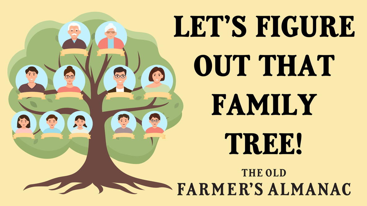 lets figure out the family tree, what is a second cousin, what is a third cousin
