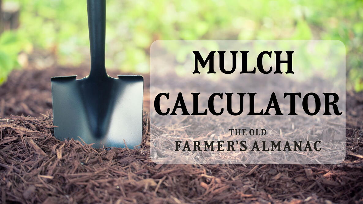 shovel in shredded bark mulch for the garden