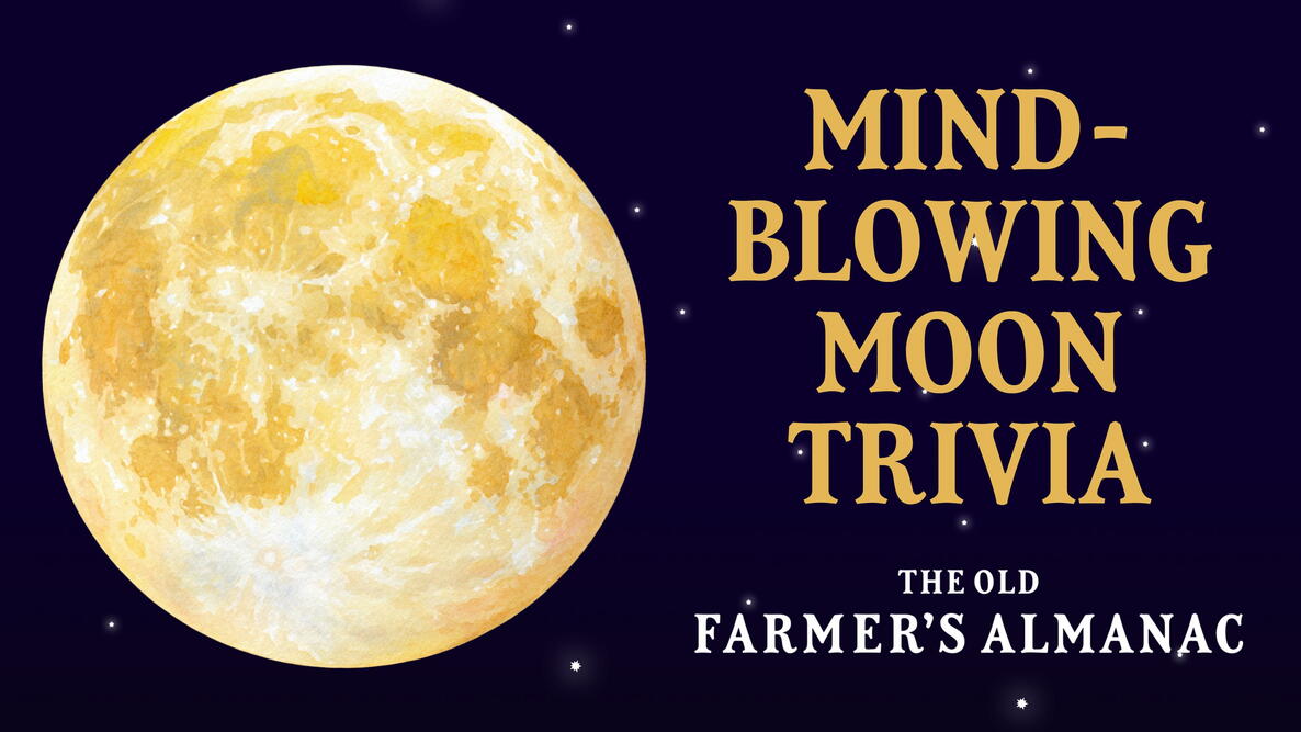 mind-blowing moon trivia, full moon on a starry night sky