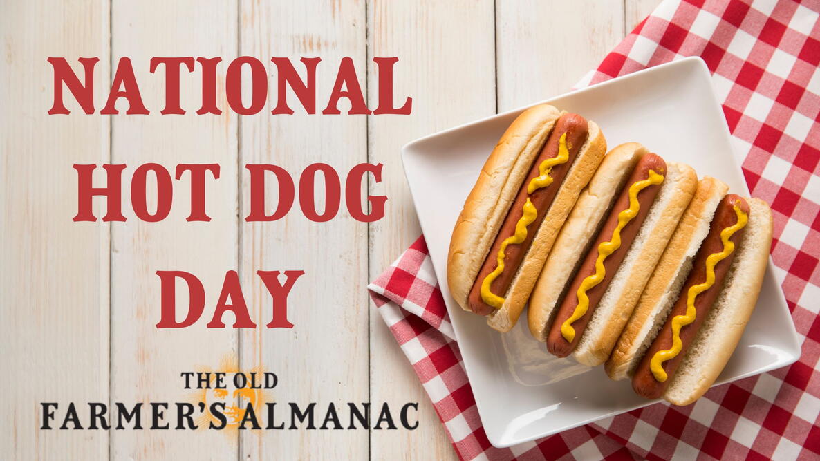 National Hot Dog Day