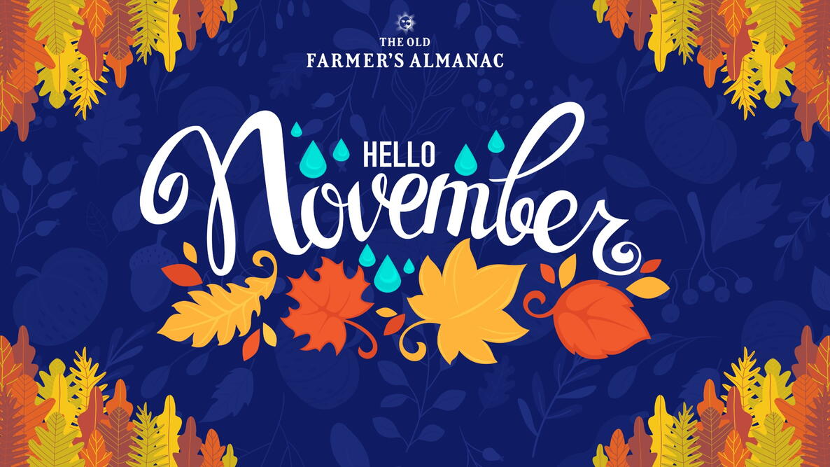 hello november, leafs and raindrops