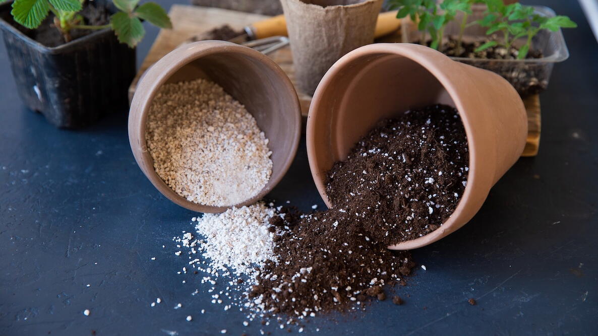 Perlite and vermiculite in plant pots
