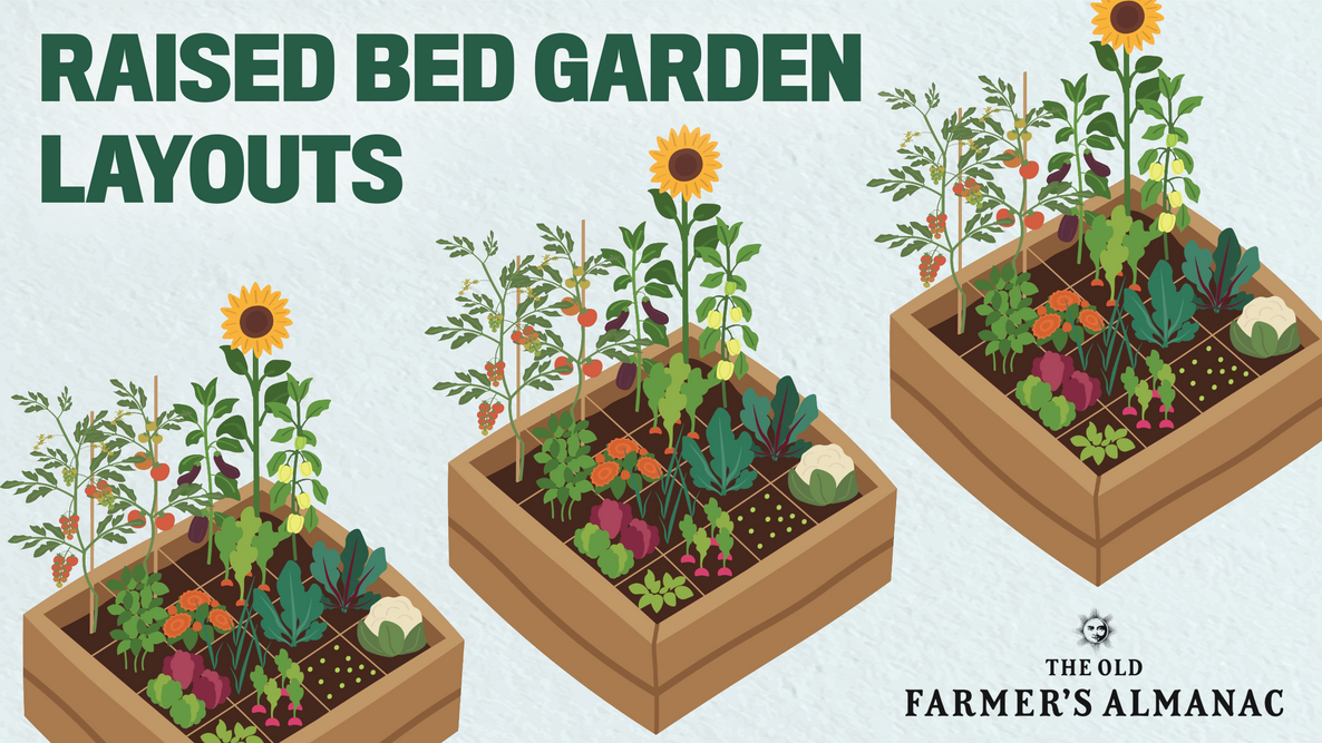 raised garden bed layouts
