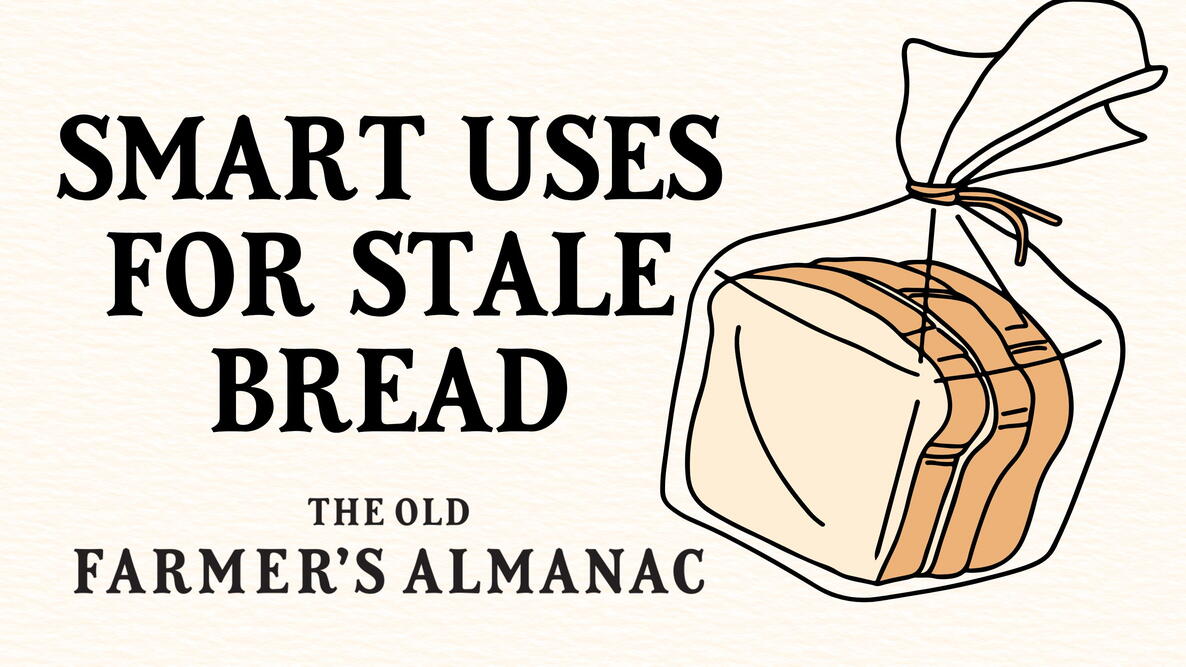 smart uses for stale bread around the house