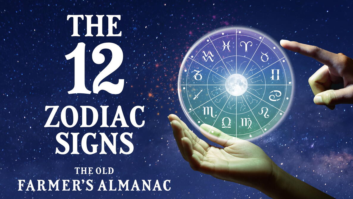 Zodiac wheel showing 12 signs against space