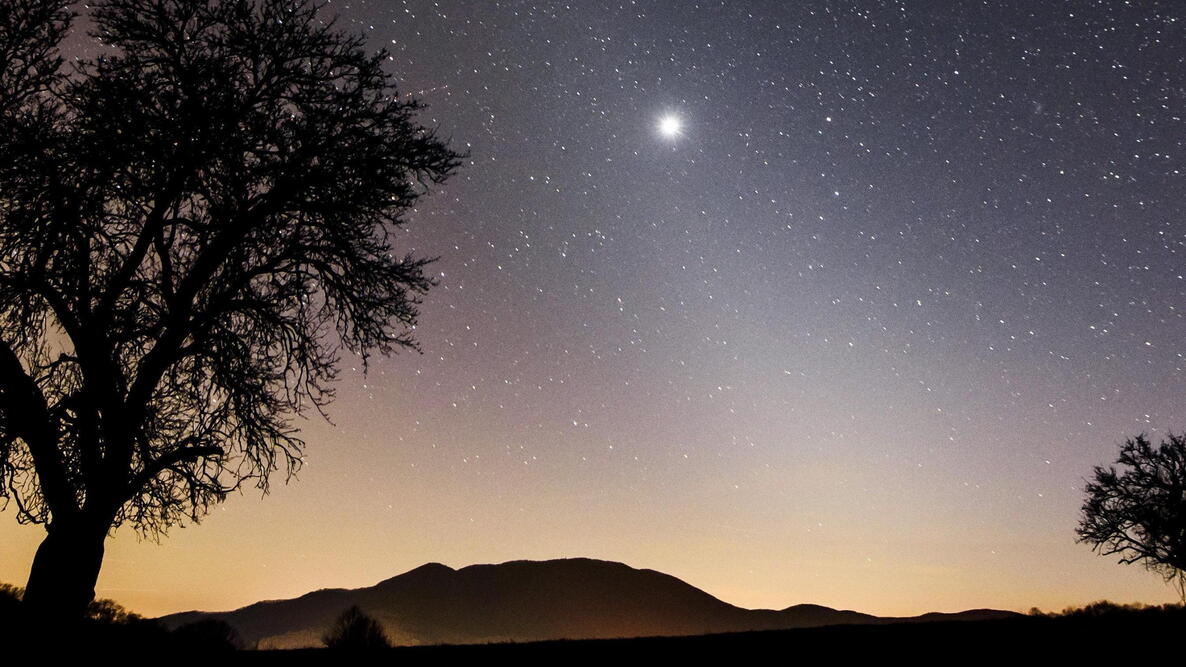Planet Venus in February
