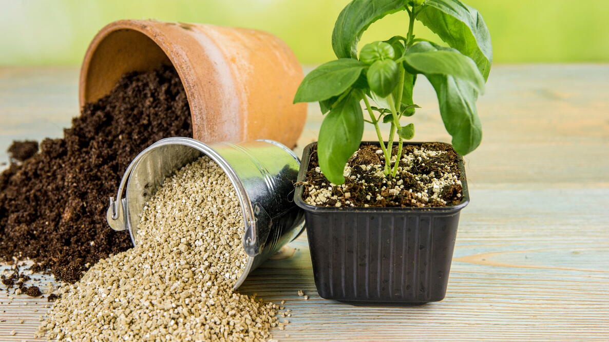 using Vermiculite for Potting Soil to provide drainage and aeration