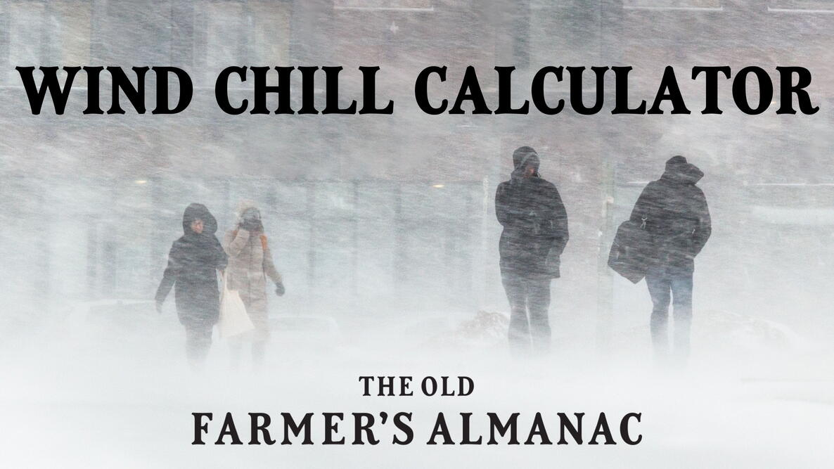 Wind Chill Calculator Feature Image