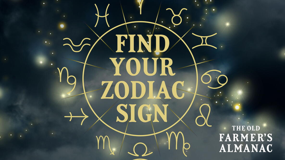 Zodiac Sign Calculator Feature Image