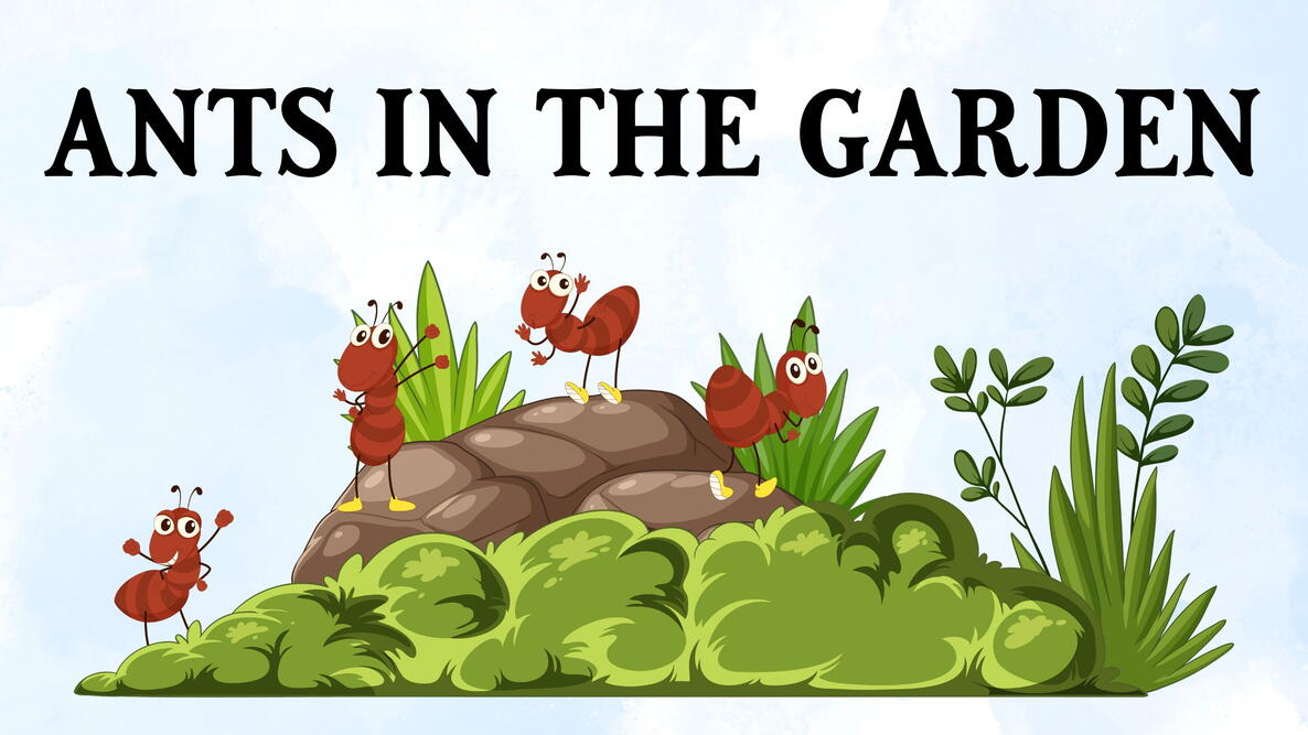 ant hill with 4 ants on it, cartoon, ants in the garden