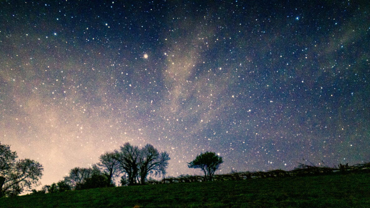 april night sky with trees on the horizon