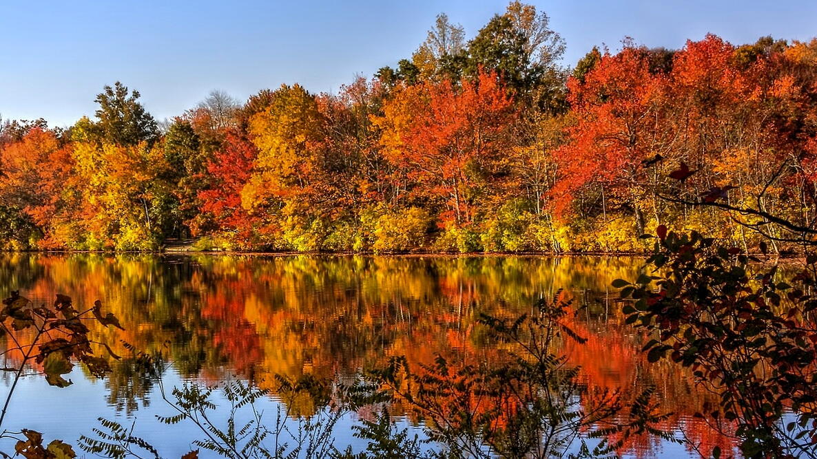 Fall Foliage Color Map When Do Fall Leaves Change in Your Area? The