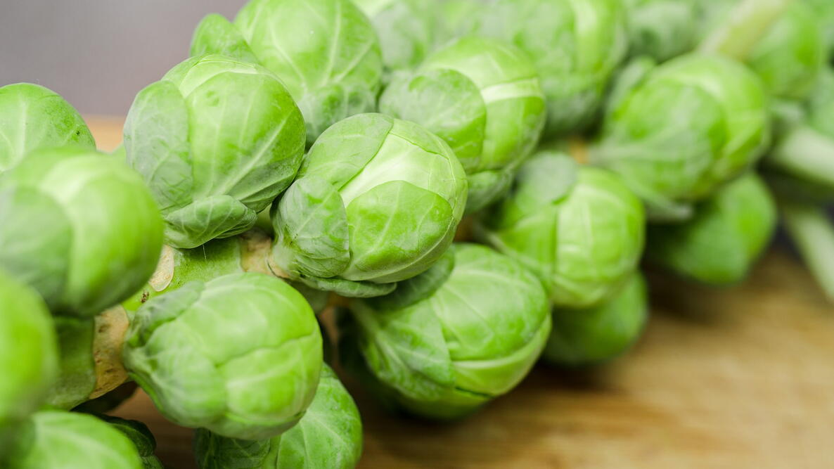 unharvested brussels sprouts on the stalk