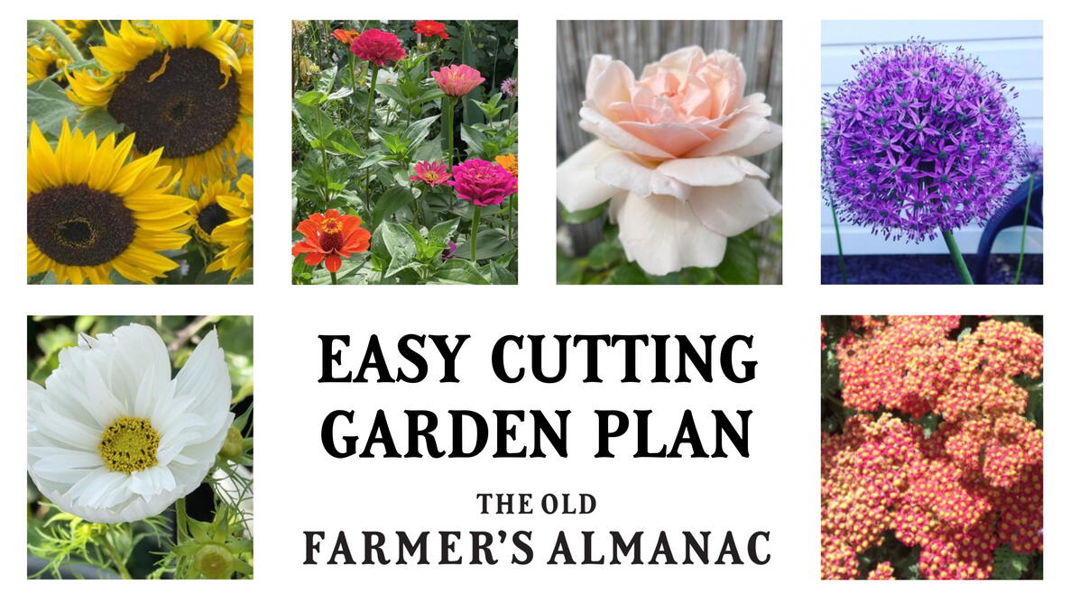 Easy Cutting Garden Plan