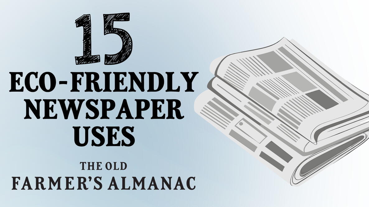 newspaper illustration, 15 eco-friendly newspaper uses from the Old Farmer's Almanac