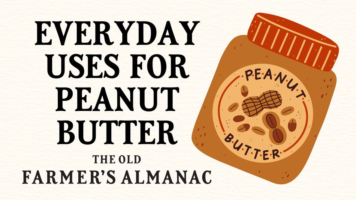 illustrated graphic of a peanut butter jar, everyday uses for peanut butter