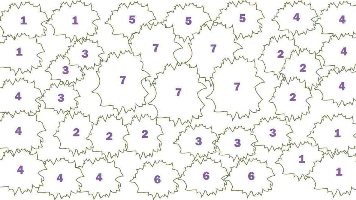 Perennial Flower Plan Colorful