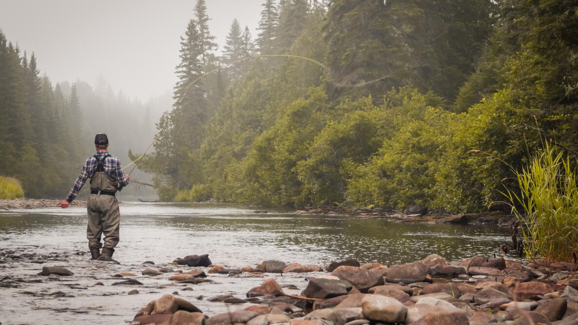 Man fly fishing in a calm foggy river at dawn