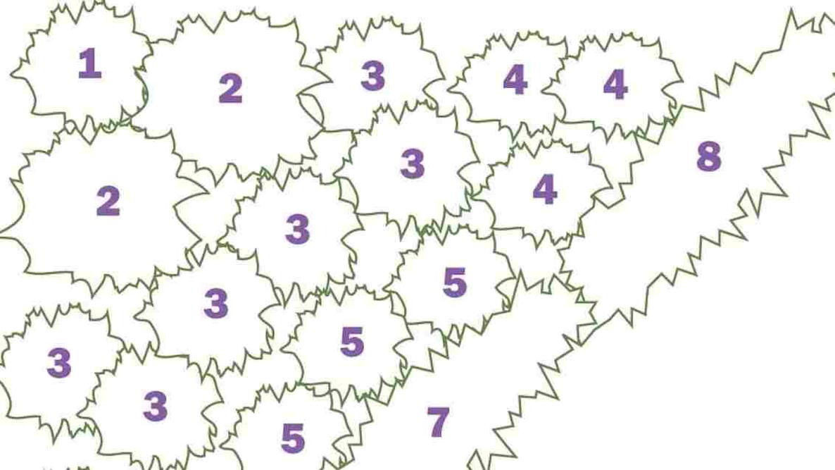 foliage garden plot plan design