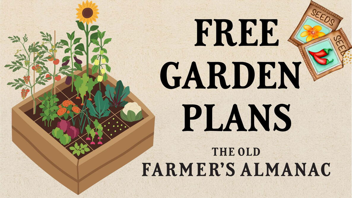 Free Garden Layouts Plans Library