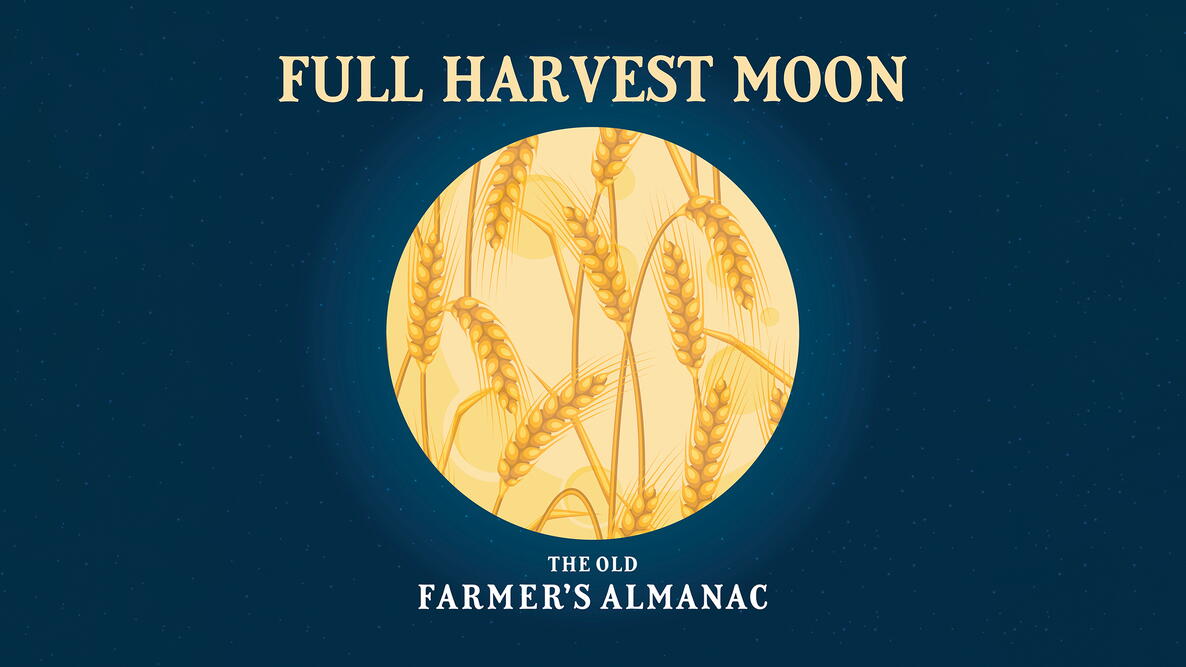 Full Harvest Moon September Full Moon OFA