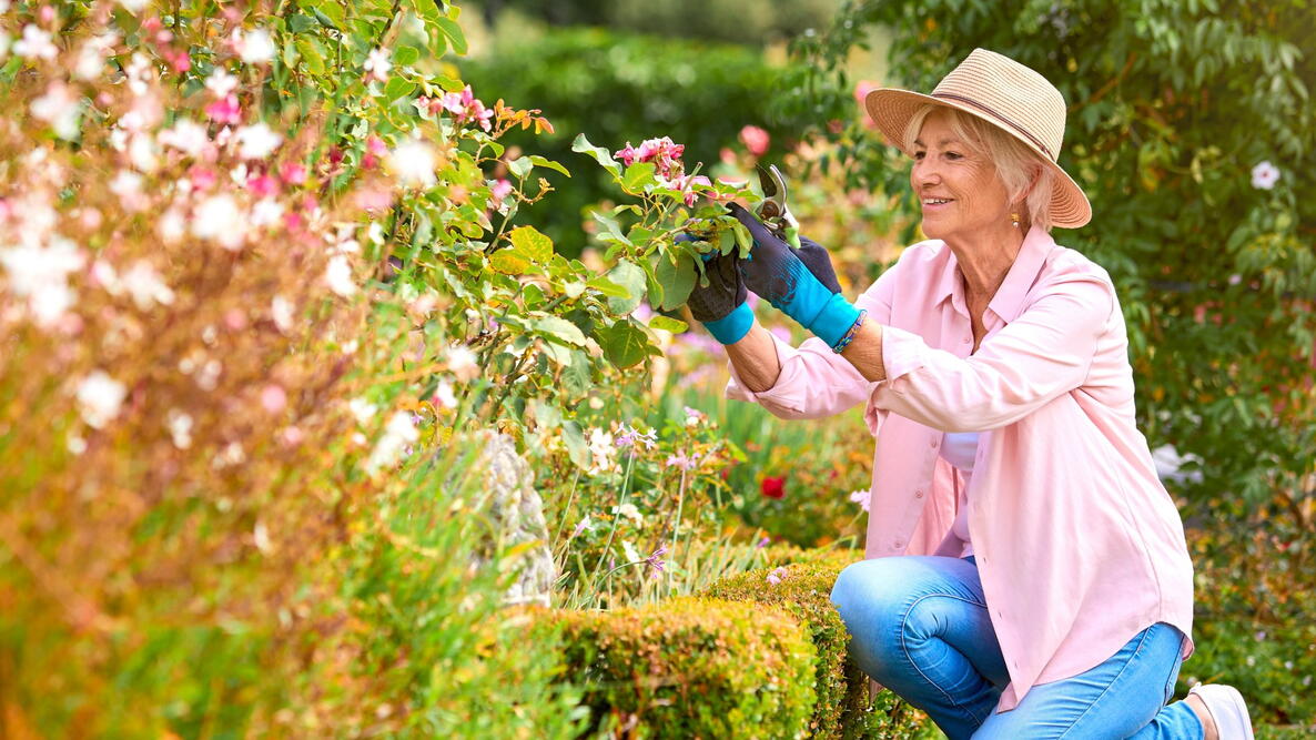 Senior Retired Woman Outdoors At Home Working In Summer Garden 